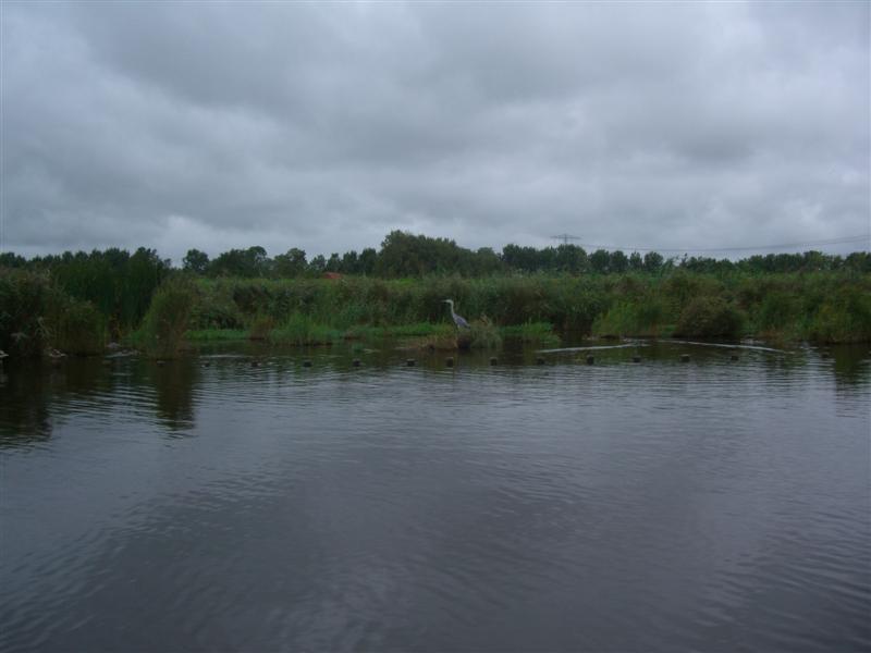 Schildmeer 2007