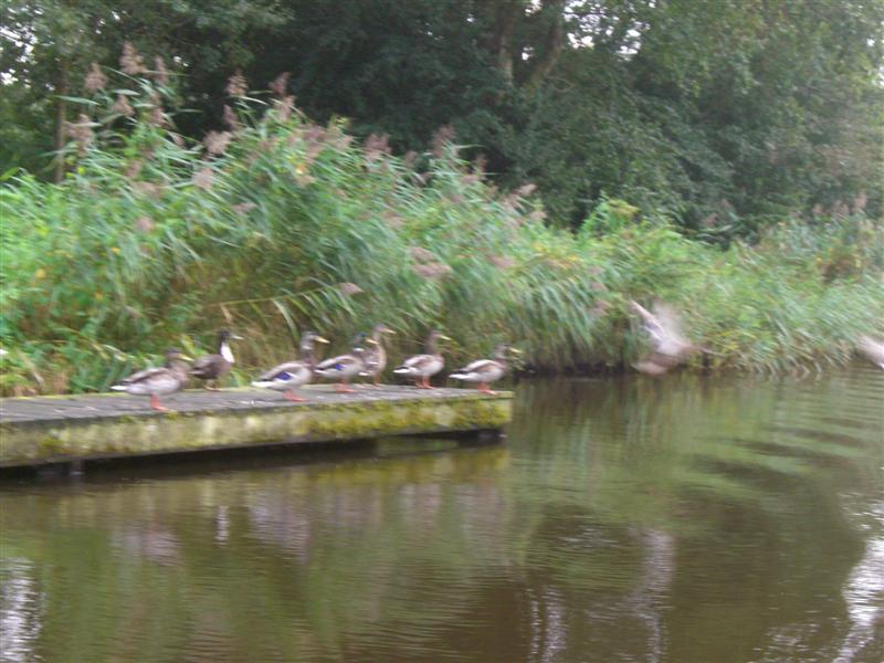 Schildmeer 2007