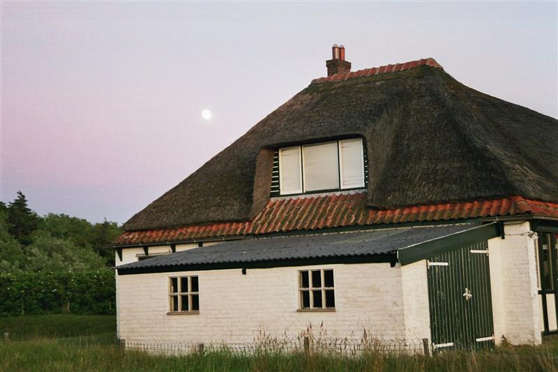 Texel 2006